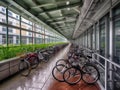 Green commuting bicycle parking in modern office