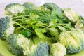 Green composition of broccoli, parsley and dill on a green plate