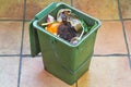 Green compost bucket Royalty Free Stock Photo