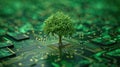 Green computing depicted as a tree sprouting at the convergence of a computer circuit board, Ai Generated Royalty Free Stock Photo