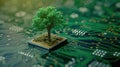 Green computing depicted as a tree sprouting at the convergence of a computer circuit board, Ai Generated Royalty Free Stock Photo