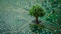 Green computing depicted as a tree sprouting at the convergence of a computer circuit board, Ai Generated Royalty Free Stock Photo