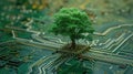 Green computing depicted as a tree sprouting at the convergence of a computer circuit board, Ai Generated Royalty Free Stock Photo