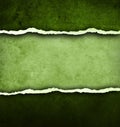 Green concrete background