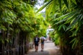 Green concrete walkway with both sides covered with bamboo trees and green leaves Royalty Free Stock Photo