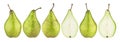 Green conference pears isolated on white background. With clipping path. Collection. Royalty Free Stock Photo