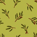 Green conifer tree branches, seamless pattern. Fir and cedar twigs, endless natural background. Winter texture design