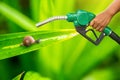 Green conservation. Gas pump nozzle and leaf background. Fuel dispenser on nature background. Royalty Free Stock Photo