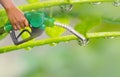 Green conservation. Gas pump nozzle and leaf background. Fuel dispenser on nature background.