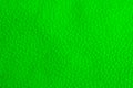 Texture uneven rough convex surface of green color