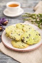 Green cookies with chocolate and mint with cup of green tea on gray wooden background. side view, close up, selective focus Royalty Free Stock Photo