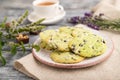 Green cookies with chocolate and mint with cup of green tea on gray wooden background. side view, close up, selective focus Royalty Free Stock Photo