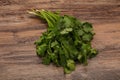 Green coriander or cilanto leaves heap Royalty Free Stock Photo