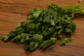 Green coriander or cilanto leaves heap Royalty Free Stock Photo