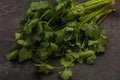 Green coriander or cilanto leaves heap Royalty Free Stock Photo