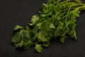 Green coriander or cilanto leaves heap Royalty Free Stock Photo