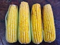 Green corn, texture background food