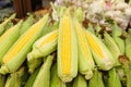 Green corns in a pice in the grocery