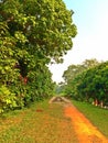 Green Corridor, Singapore Royalty Free Stock Photo