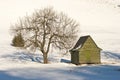 Green cottage on during the winter