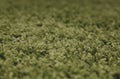 Green cotton carpet texture close-up Royalty Free Stock Photo