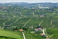 Green countryside aerial view with vineyards in Piedmont, Italy Royalty Free Stock Photo