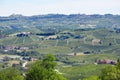 Green countryside, Langhe hills in Piedmont, Italy Royalty Free Stock Photo