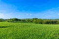 Green countryside in summer Royalty Free Stock Photo