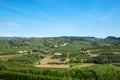 Green countryside with vineyards and fields, Langhe hills, Italy Royalty Free Stock Photo
