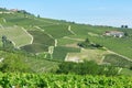 Green countryside with vineyards in Piedmont, Italy Royalty Free Stock Photo