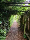 The Green Covered Pathway