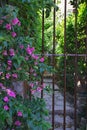 green cozy courtyards of the French village of San Paul de Vence. Steps lead to the door.