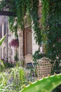 Green cozy courtyards of the French village of San Paul de Vence. A table for two in a wild grapes.