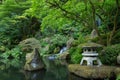 Green cozy garden with a small waterfall