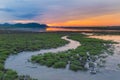 Green crack land with small water way Royalty Free Stock Photo