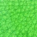 Green Cracked glass background Royalty Free Stock Photo