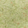 Green Craft eco textured paper sheet. Handmade paper texture