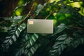 Green credit card on a background of green leaves. Green Friday, sustainable consumption, sustainability, ecology, zero waste and