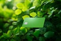 Green credit card on a background of green leaves. Green Friday, sustainable consumption, sustainability, ecology, zero waste and