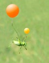 Green cricket and airballoon Royalty Free Stock Photo