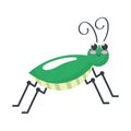 green cricket insect animal