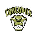 Green crocodile head mascot