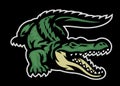 Green crocodile roaring mascot