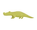 Green crocodile. Vector illustration on white background.