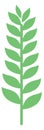 Green crop ear icon. Natural grain silhouette Royalty Free Stock Photo