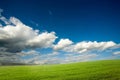 Green crops and cloudy sky Royalty Free Stock Photo