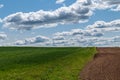 green crops, cloudy sky, ploughed field, countryside Royalty Free Stock Photo