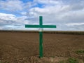Green cross as farmers protest against German environment regulations