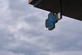 green cross-shaped pharmacy sign with sky in the background Royalty Free Stock Photo