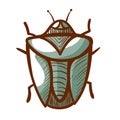 Green crum hand drawn icon. Beetle parasite pictogram. Bug symbol, sign. Insect creeping.